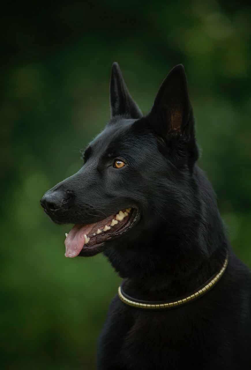 5B766EAD-6CEA-4BDC-B263-C90EE1C68629 Hero 5B766EAD-6CEA-4BDC-B263-C90EE1C68629 Hero