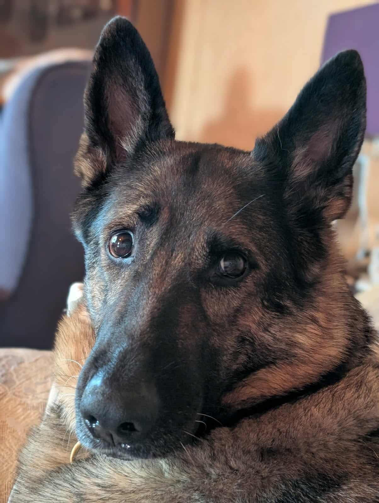 A643272D-FA10-4335-BBCF-1D5F2F61F7D8 Ginza