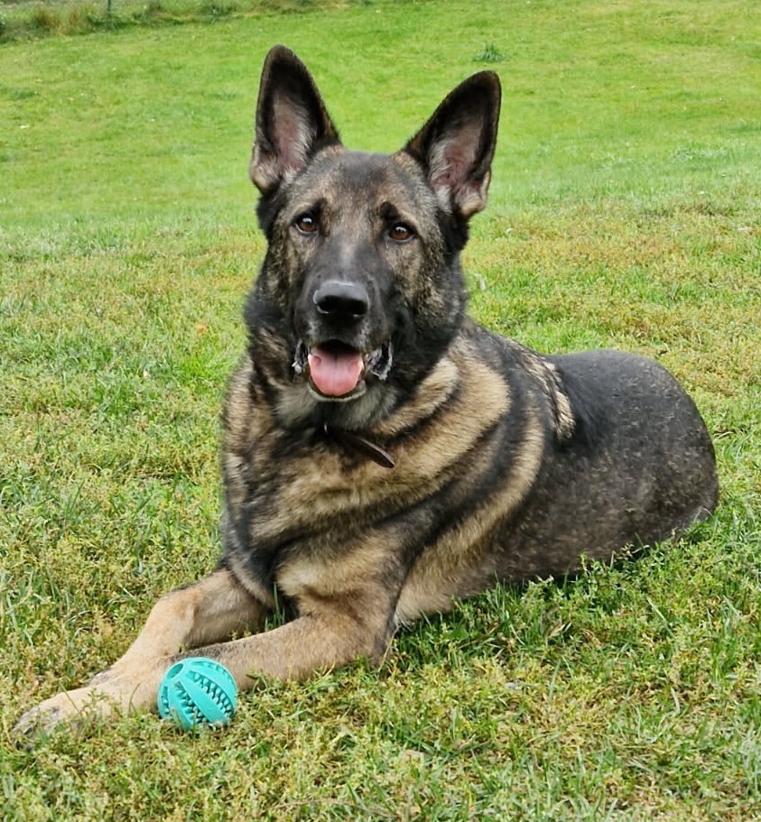 IMG_20250729_142122.jpg ny