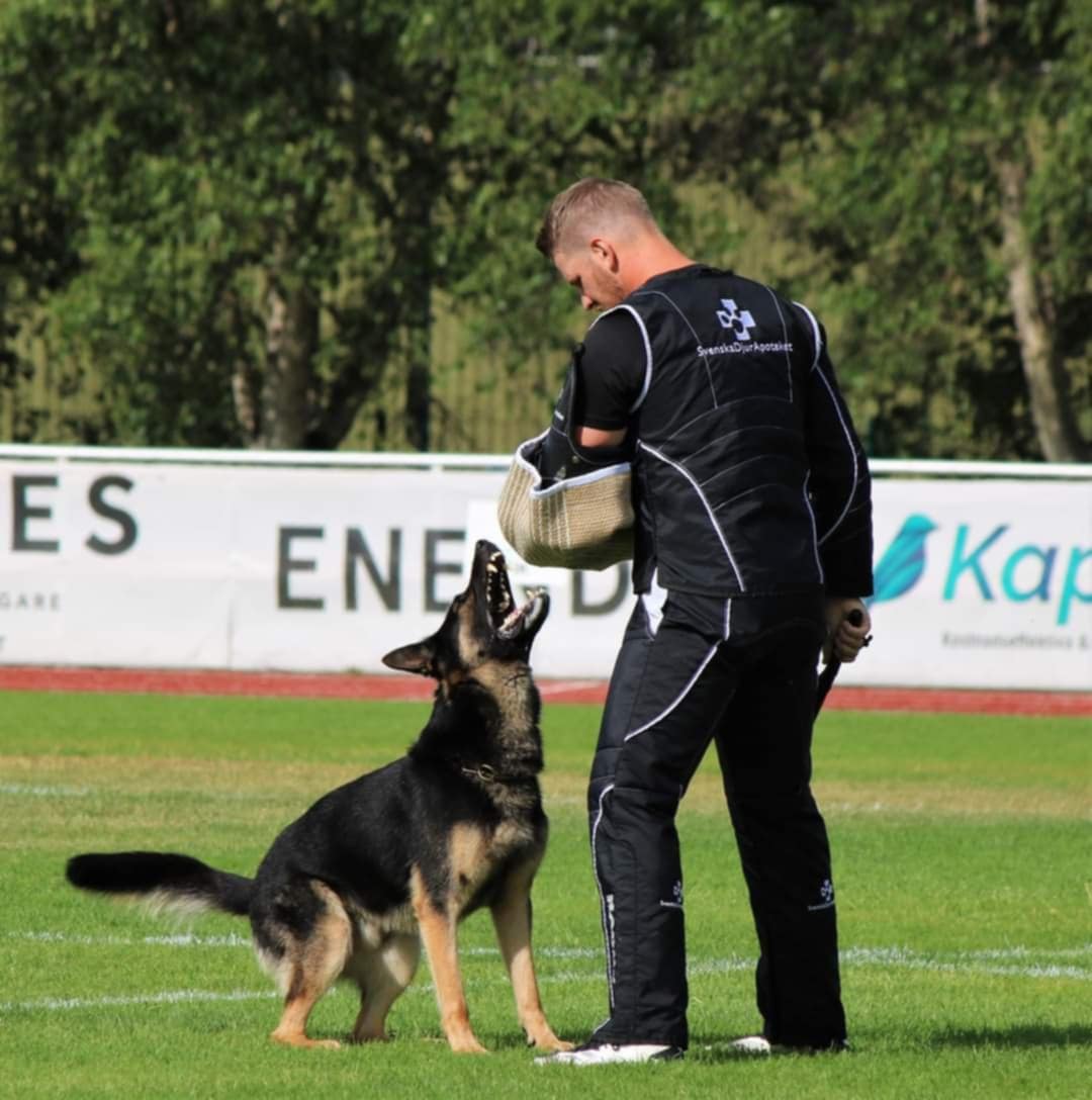 Messenger_creation_68DD945A-8666-42AE-B74A-6731E62FD8AE