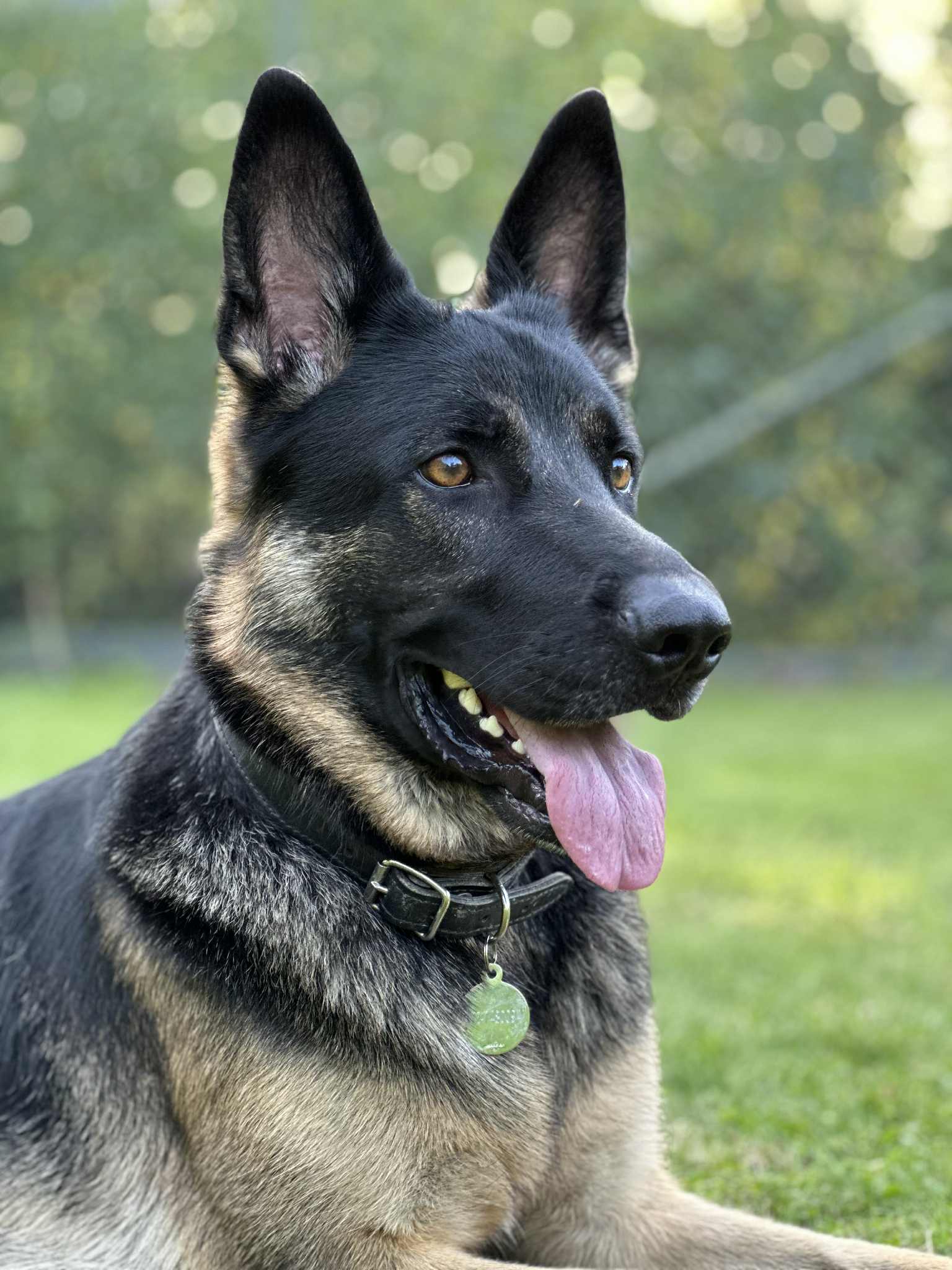 Messenger_creation_87EC48E7-9C51-4C9D-8352-87EAAEED9A85