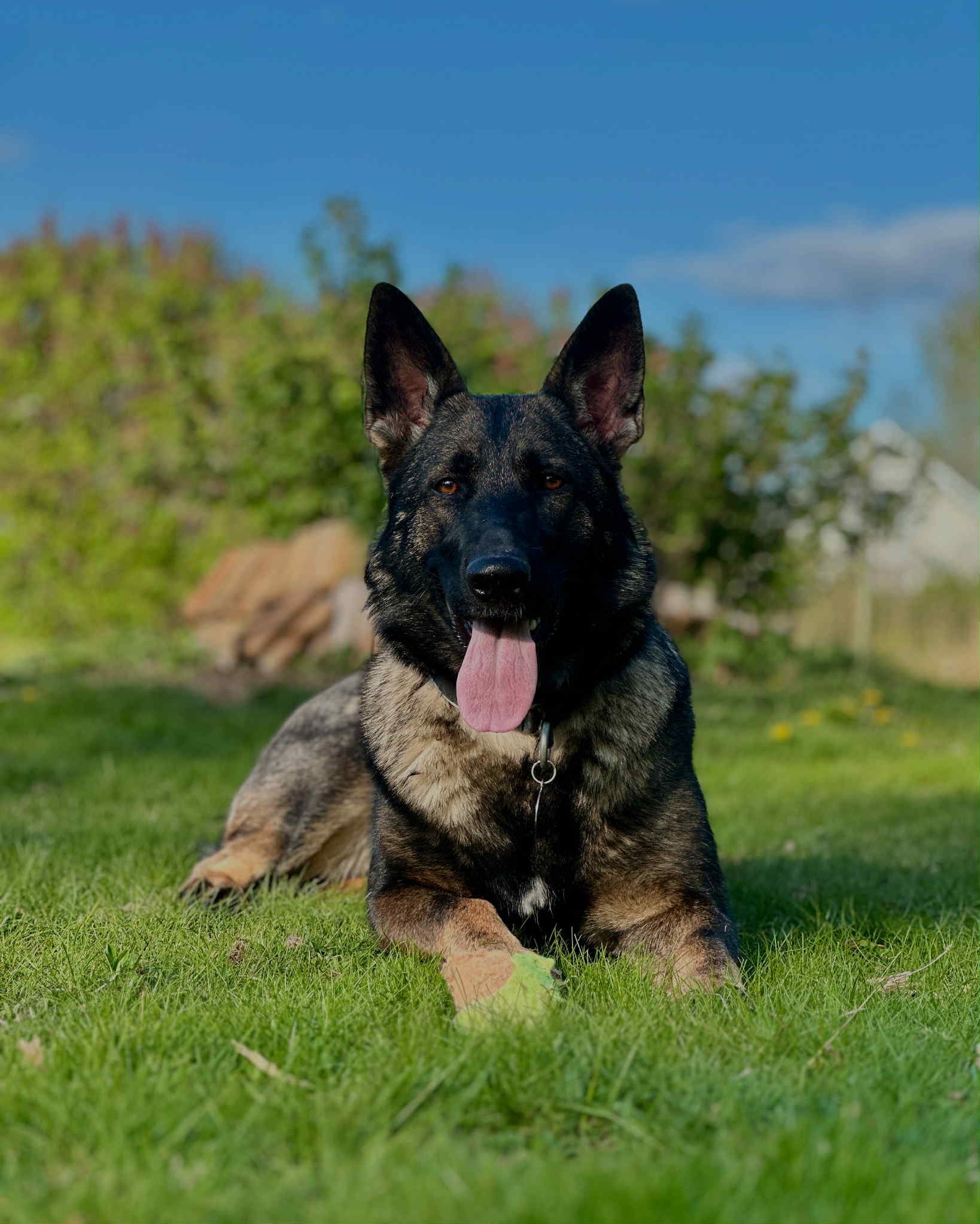 Messenger_creation_A6423CBF-D9DC-45D5-B1D0-085F21F3535E