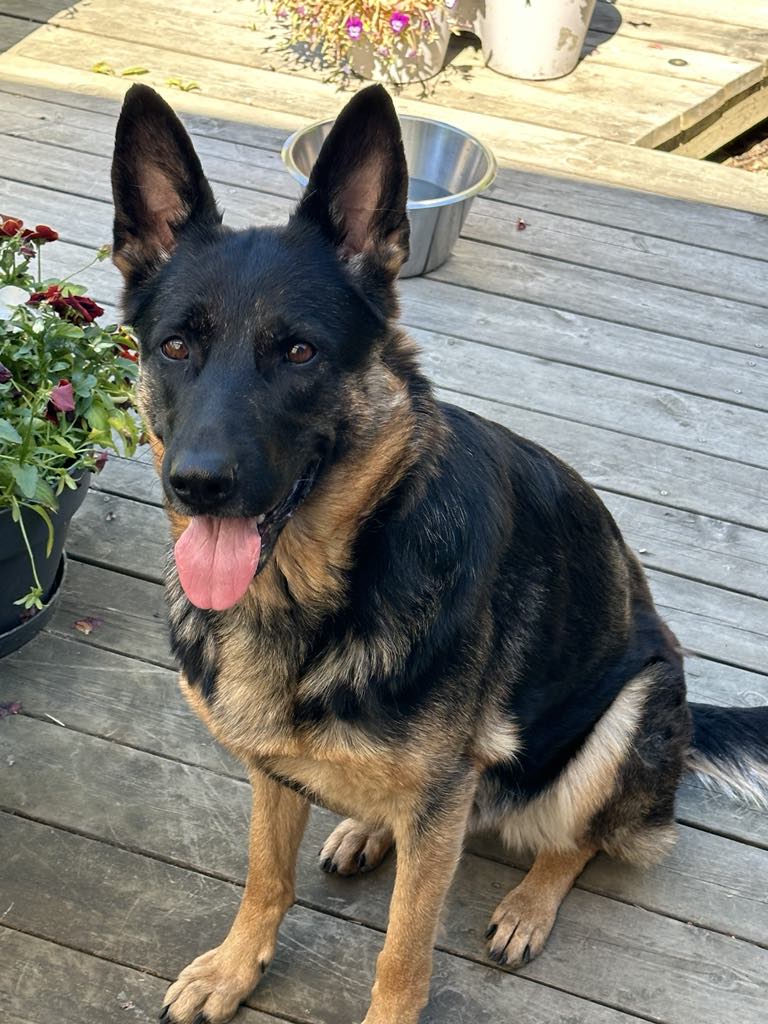 Messenger_creation_E362514E-4530-401D-BE2A-9EC39343A209