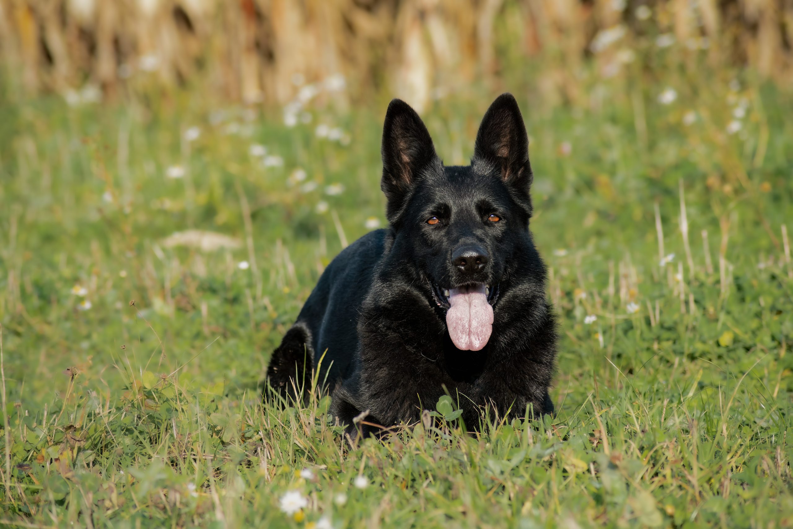 namnlöst-2-72-Redigera