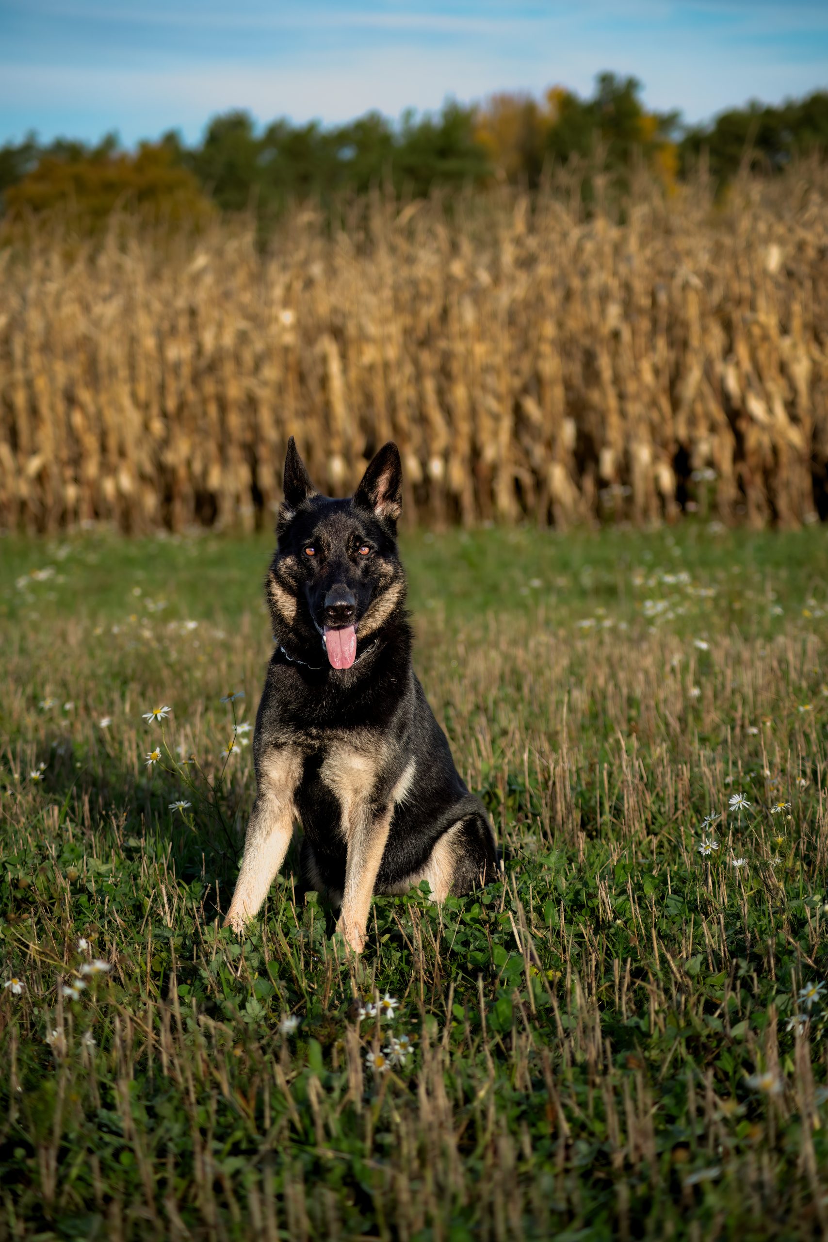 namnlöst-8739-Redigera