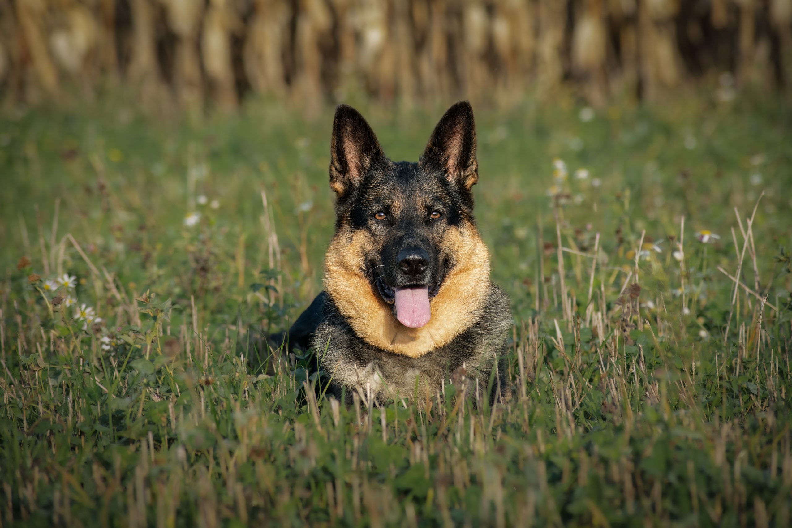 namnlöst-8873-Redigera