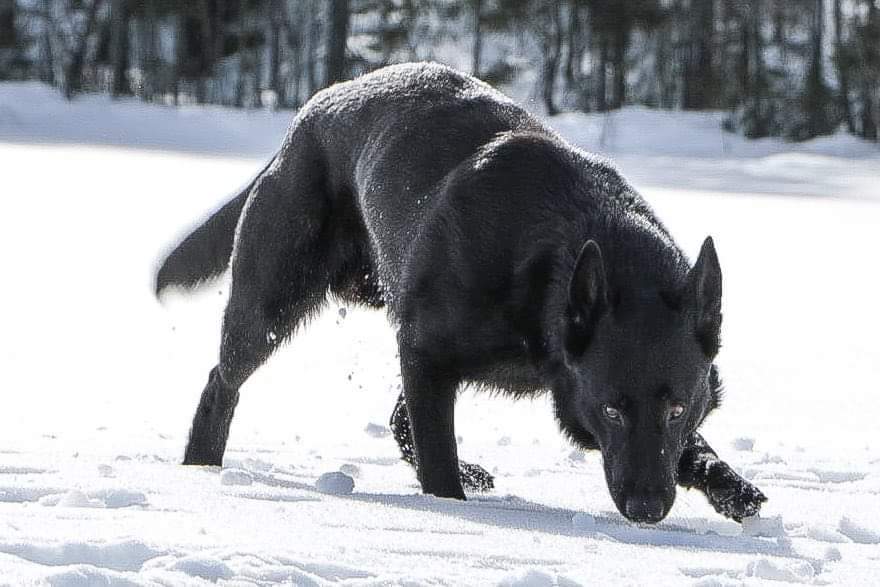 received_944996186262676