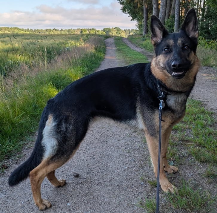 IMG_20250805_172659.jpg Ny IMG_20250805_172659.jpg Ny