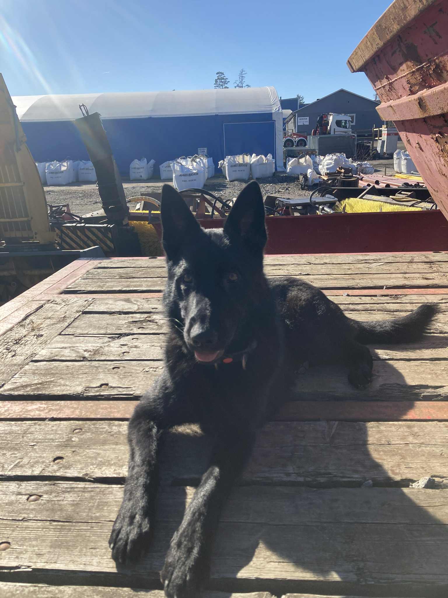 Messenger_creation_ED48E17E-294F-41FE-A22E-4322758F4AC8