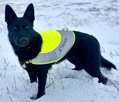 NY IMG_20250812_075044