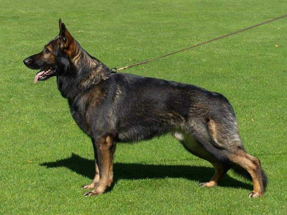 received_905658570543959 (002)