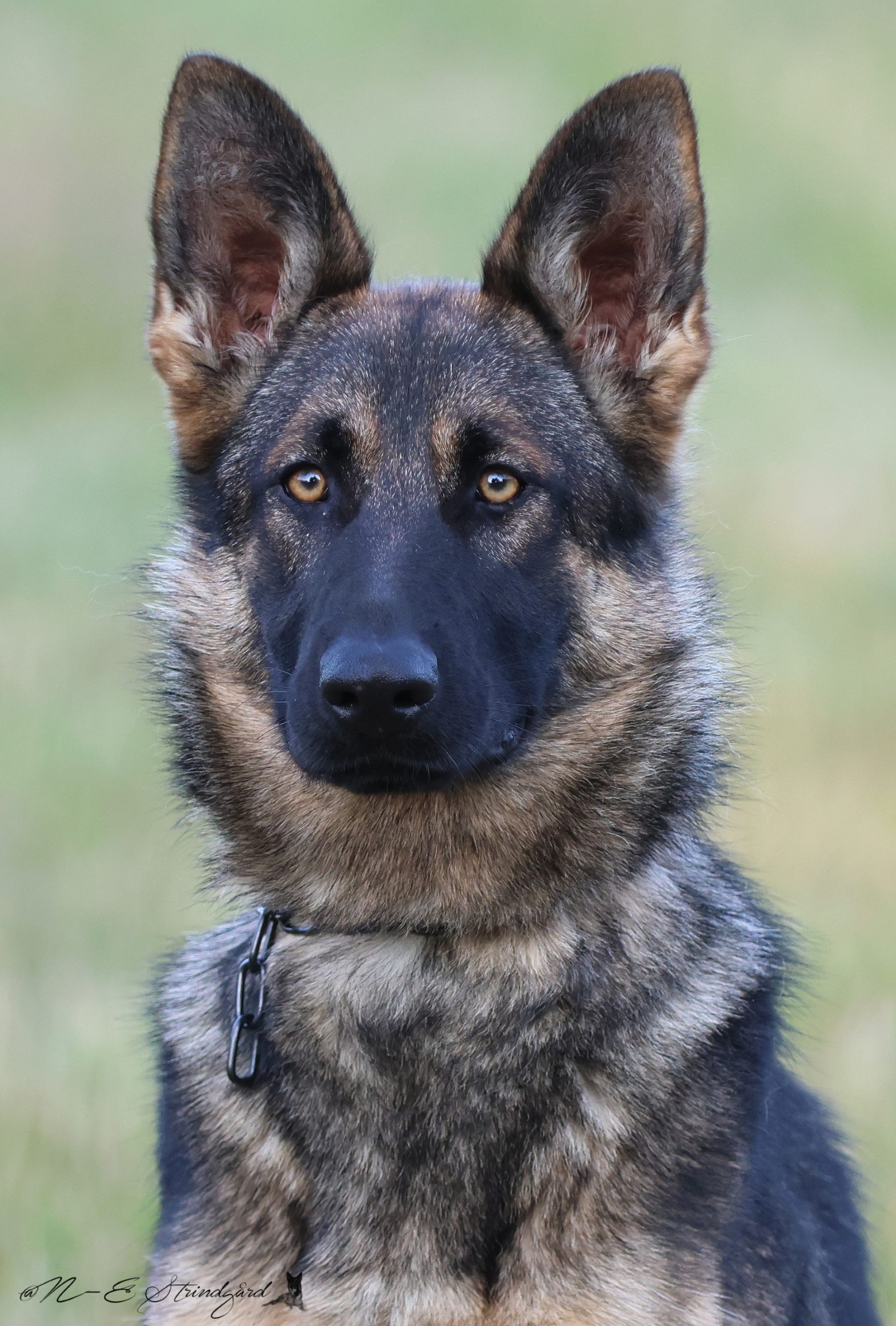 thumbnail_received_744638048115568