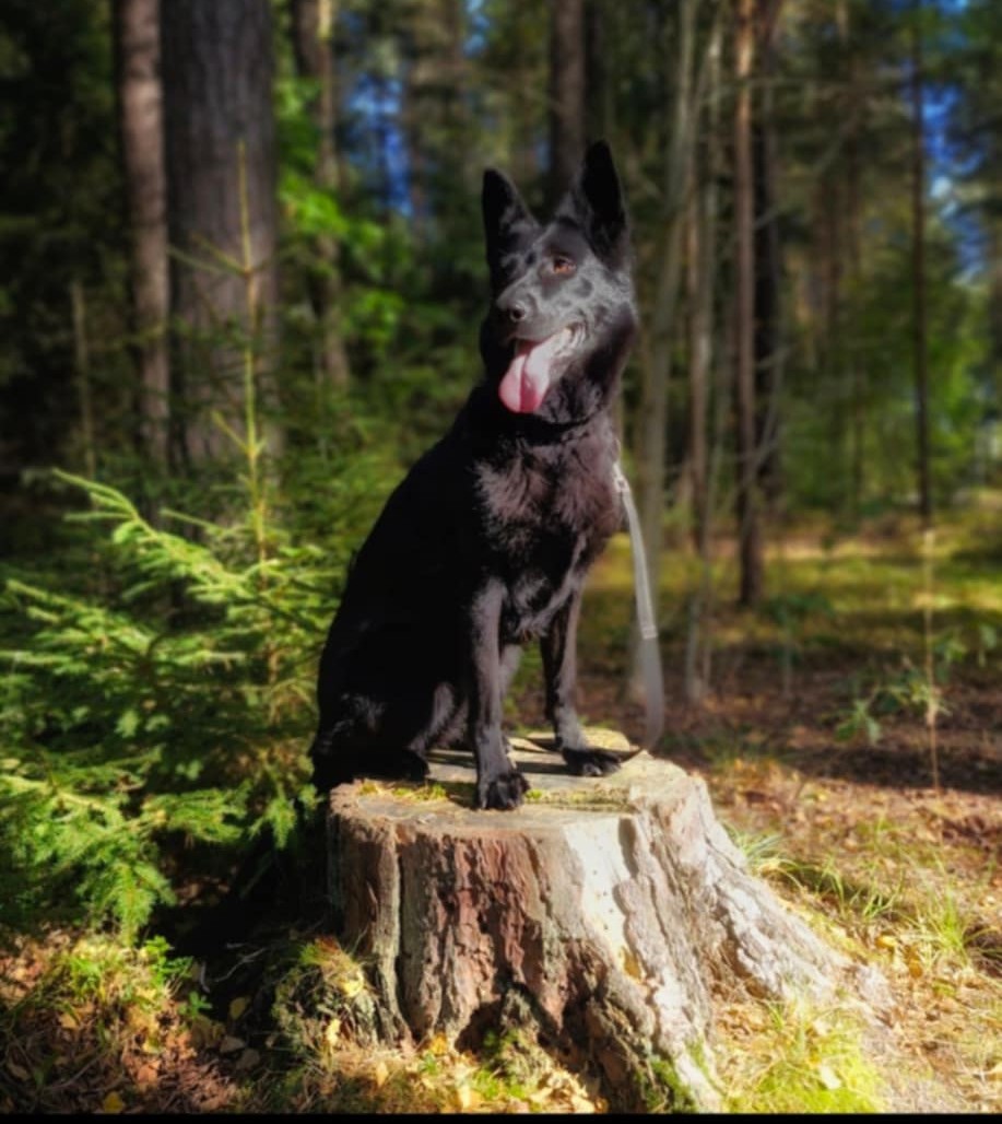 Messenger_creation_E9FB5CFD-331F-47EE-98FB-F1BE92D642C4