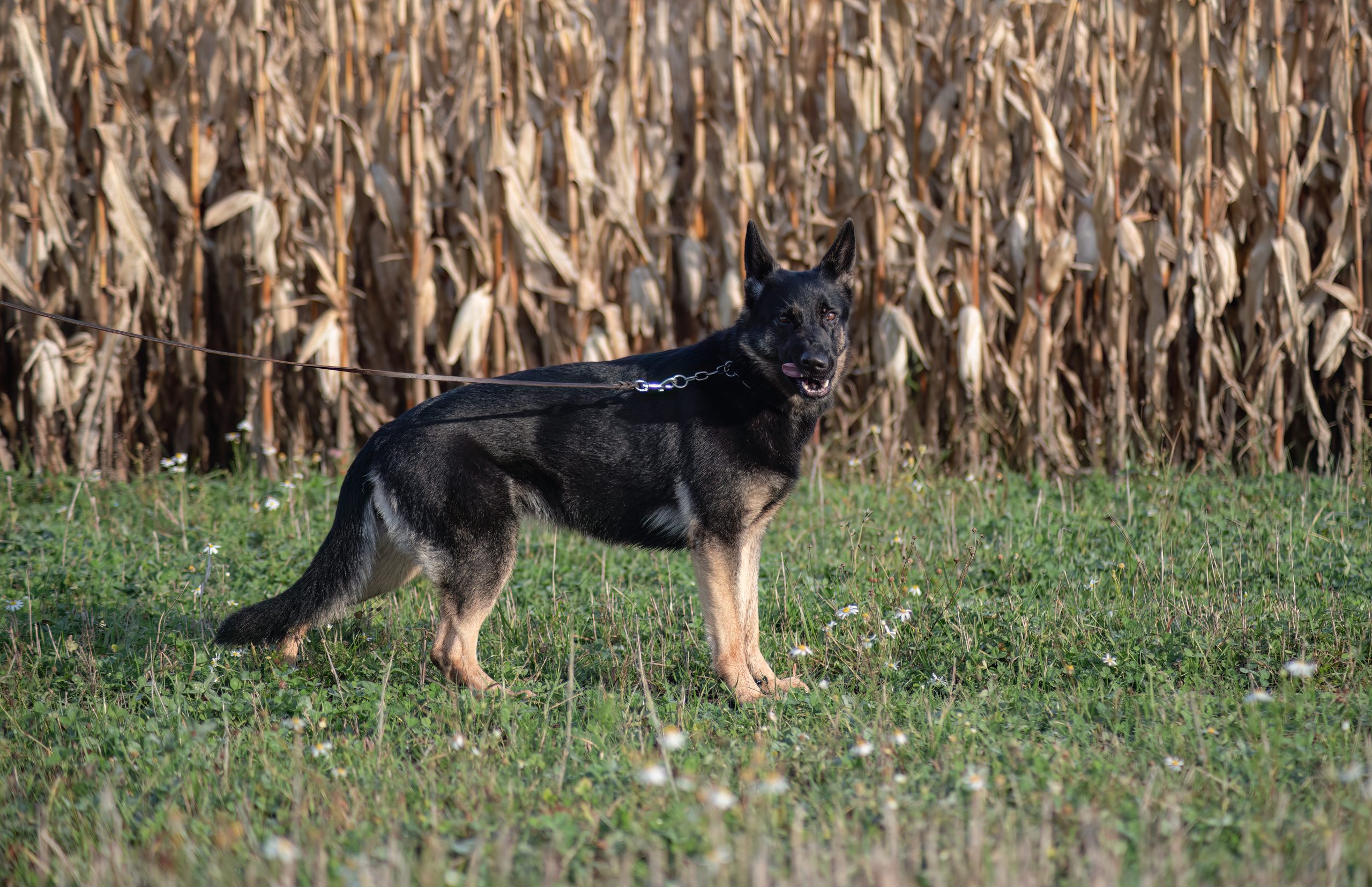 namnlöst-8771-Redigera namnlöst-8771-Redigera