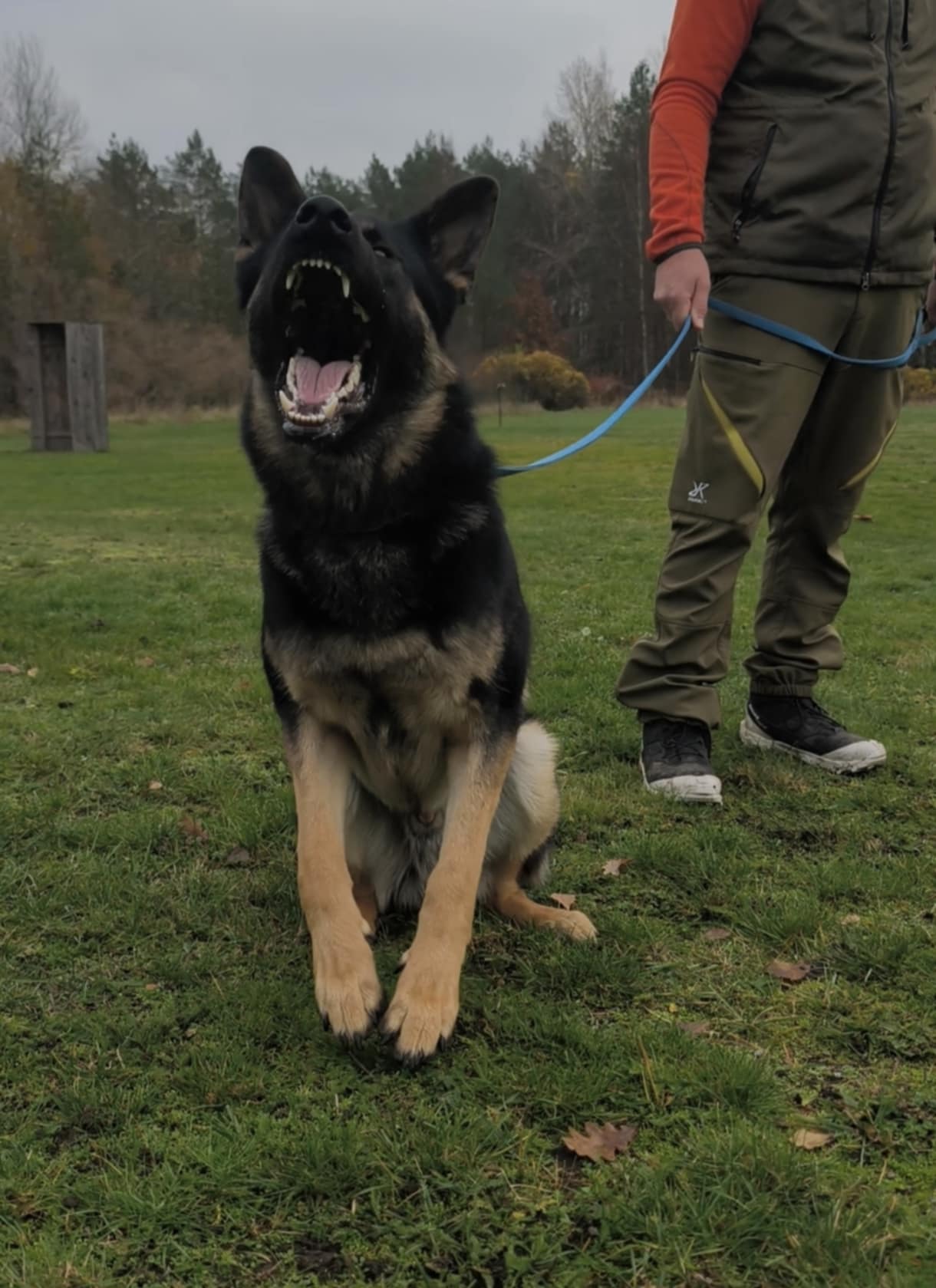 Messenger_creation_7594C8B0-C30E-4621-972F-31F4B6C3A8F6