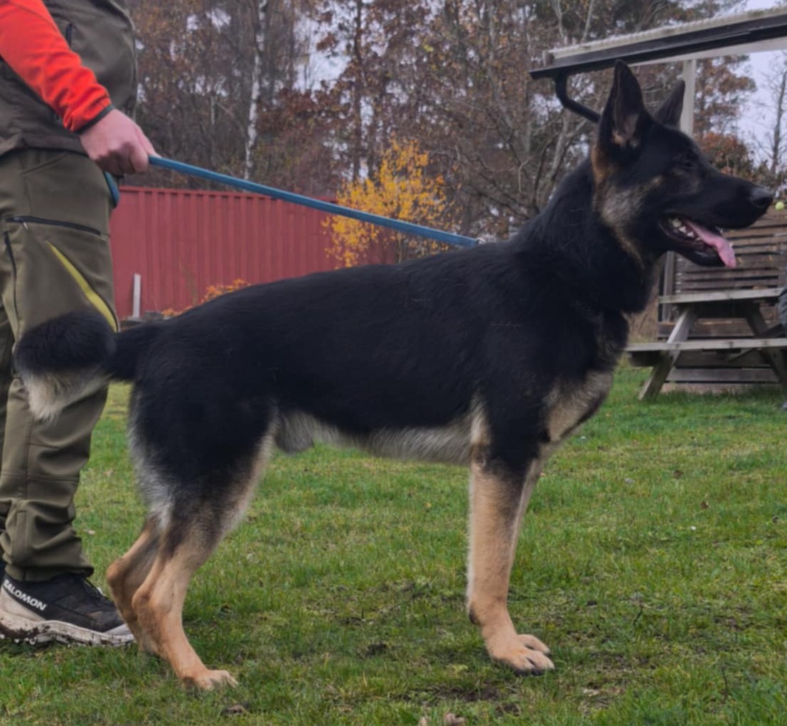 Messenger_creation_7C7A1565-0F89-4617-B380-1411689481AF