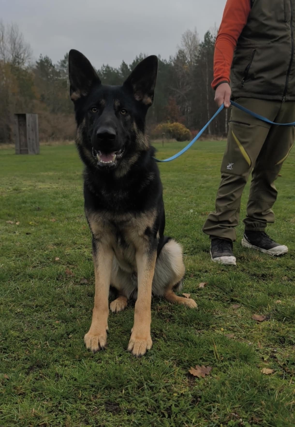 Messenger_creation_B1F70975-641E-4694-ACC6-FA340DC3C51F