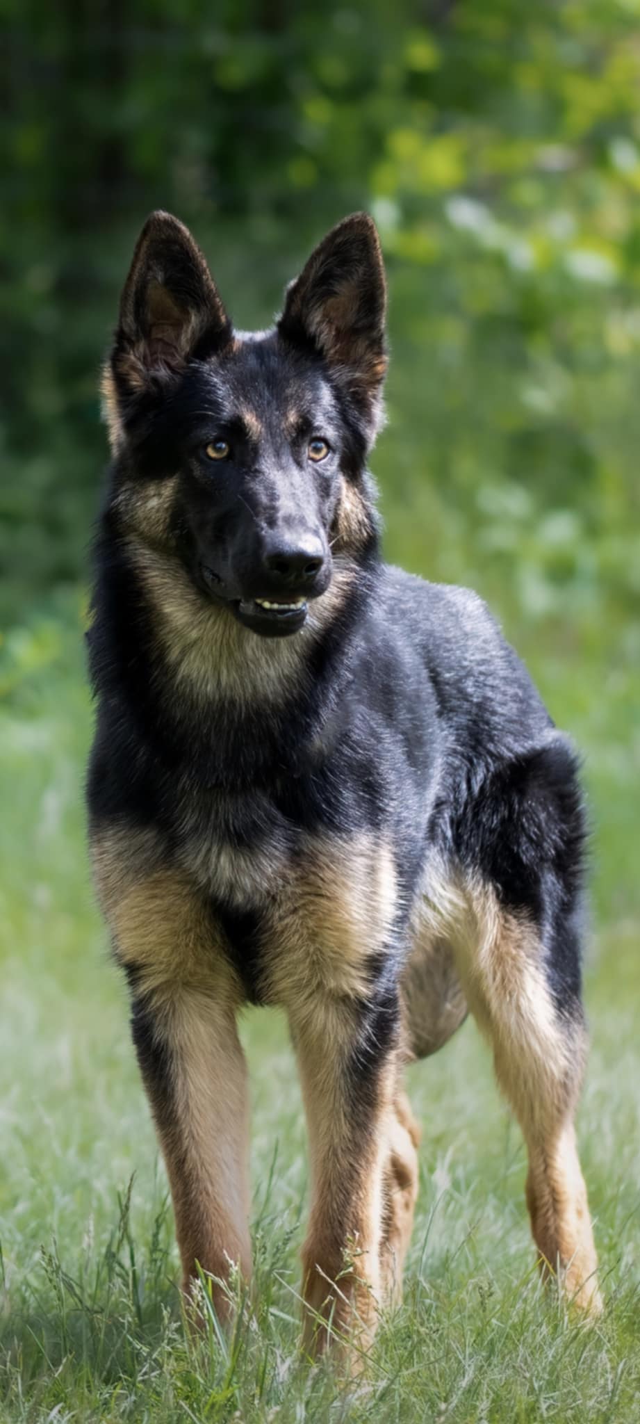 Messenger_creation_D1663236-C767-4BFE-AE81-A290427A449E