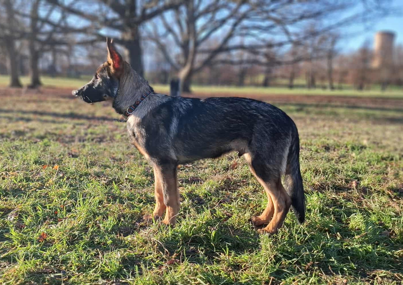 Messenger_creation_E2183AEB-D4A7-452A-83AE-69FEAF56C621.jpeg ny