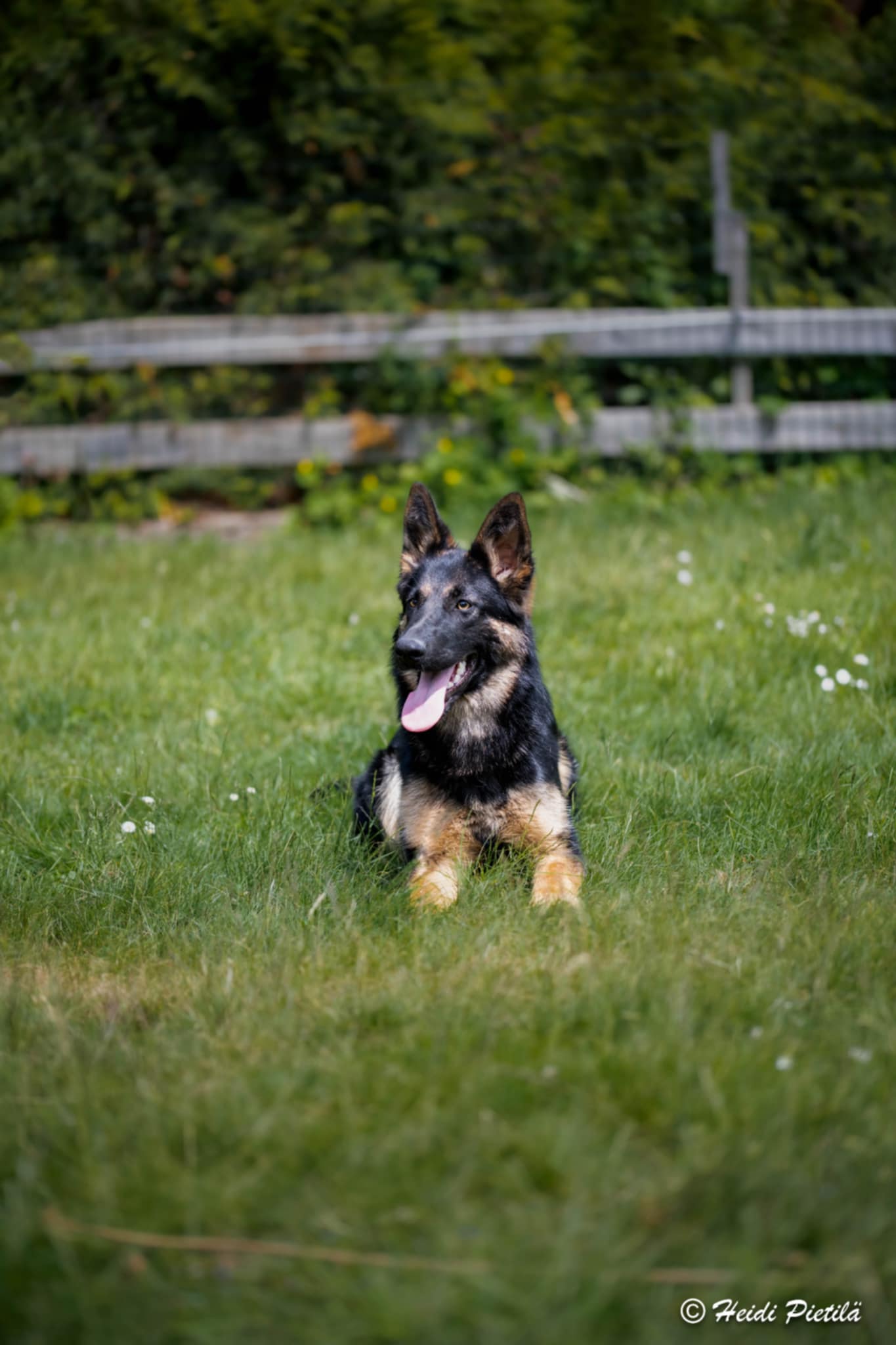 Messenger_creation_E7DF66E8-1D61-408F-B12D-3F2B989D6EC2