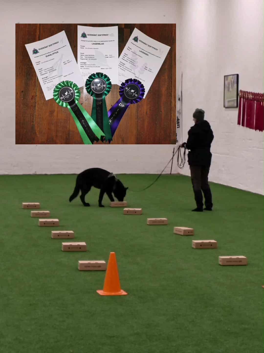 Messenger_creation_A121CA59-C009-4E73-894E-9E62E8C592A7